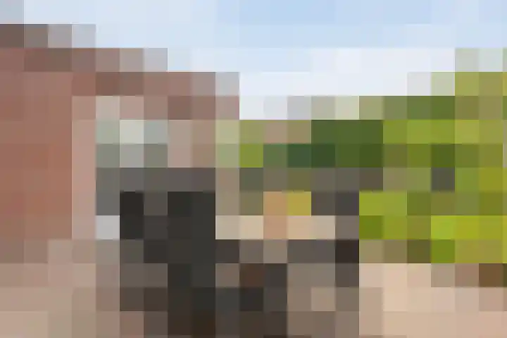 Weefgetouw 39 Almelo thumbnail 35