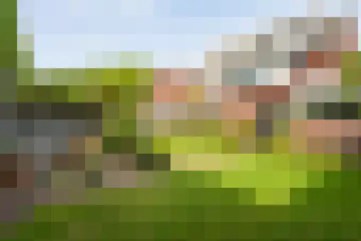 Weefgetouw 39 Almelo thumbnail 40