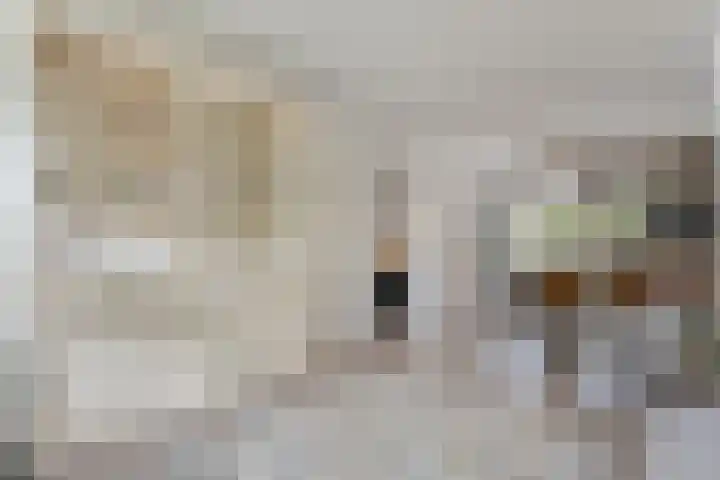 Weefgetouw 39 Almelo thumbnail 9