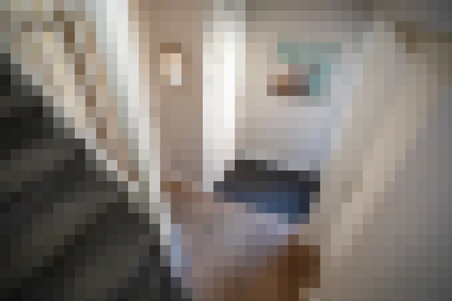 Weefkamer 24 Wierden thumbnail 12