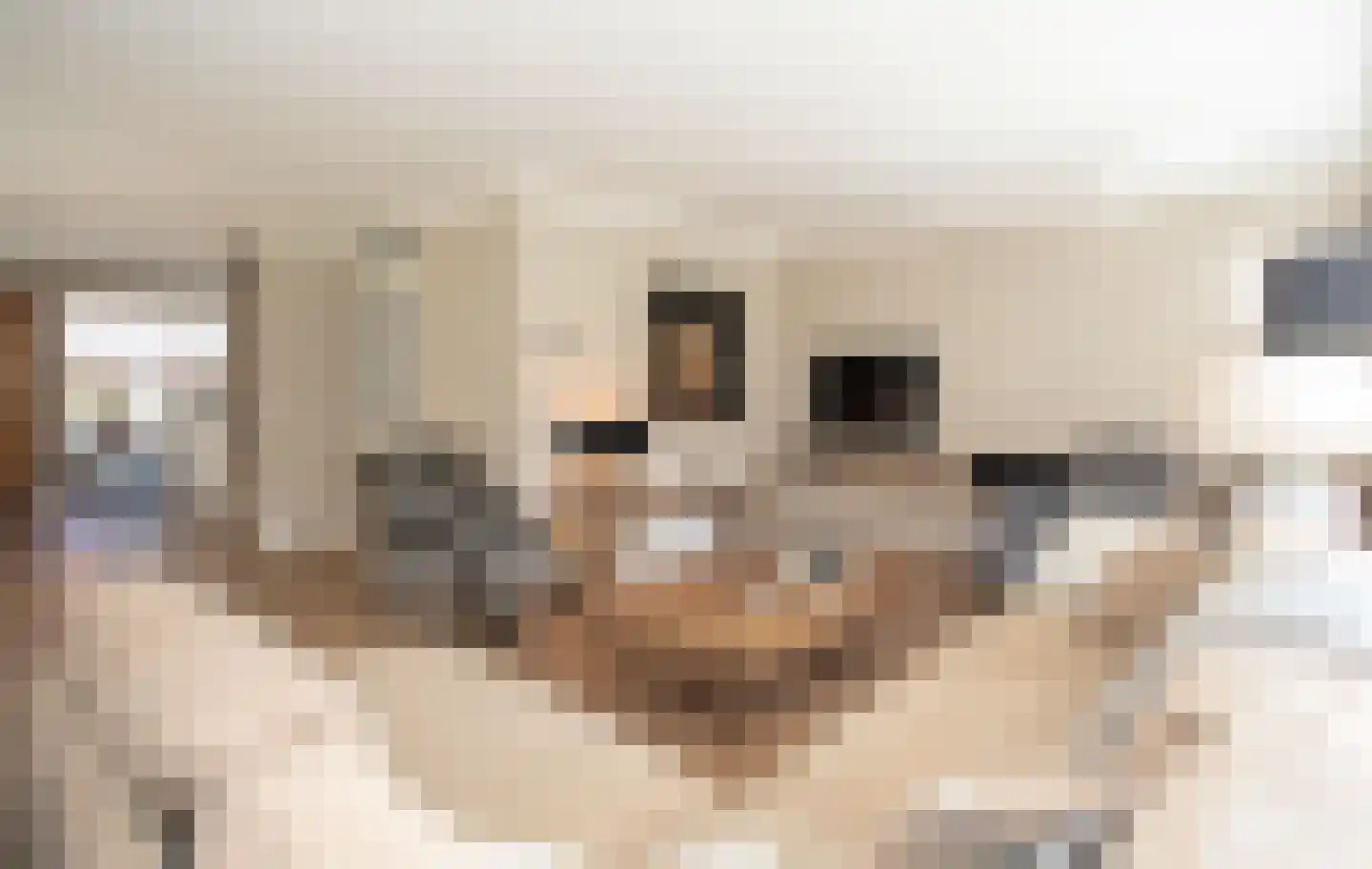 Weefkamer 24 Wierden thumbnail 20