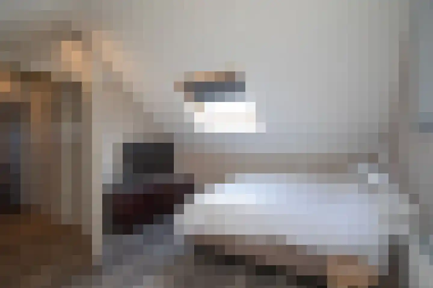 Weefkamer 24 Wierden thumbnail 53