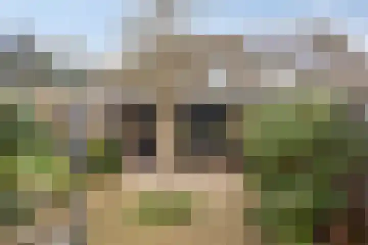 Weefkamer 24 Wierden thumbnail 56