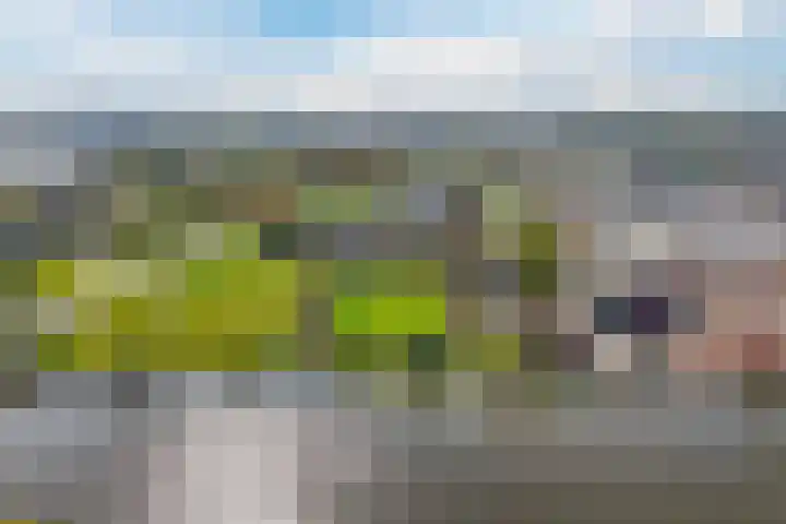 Weefkamer 24 Wierden thumbnail 59