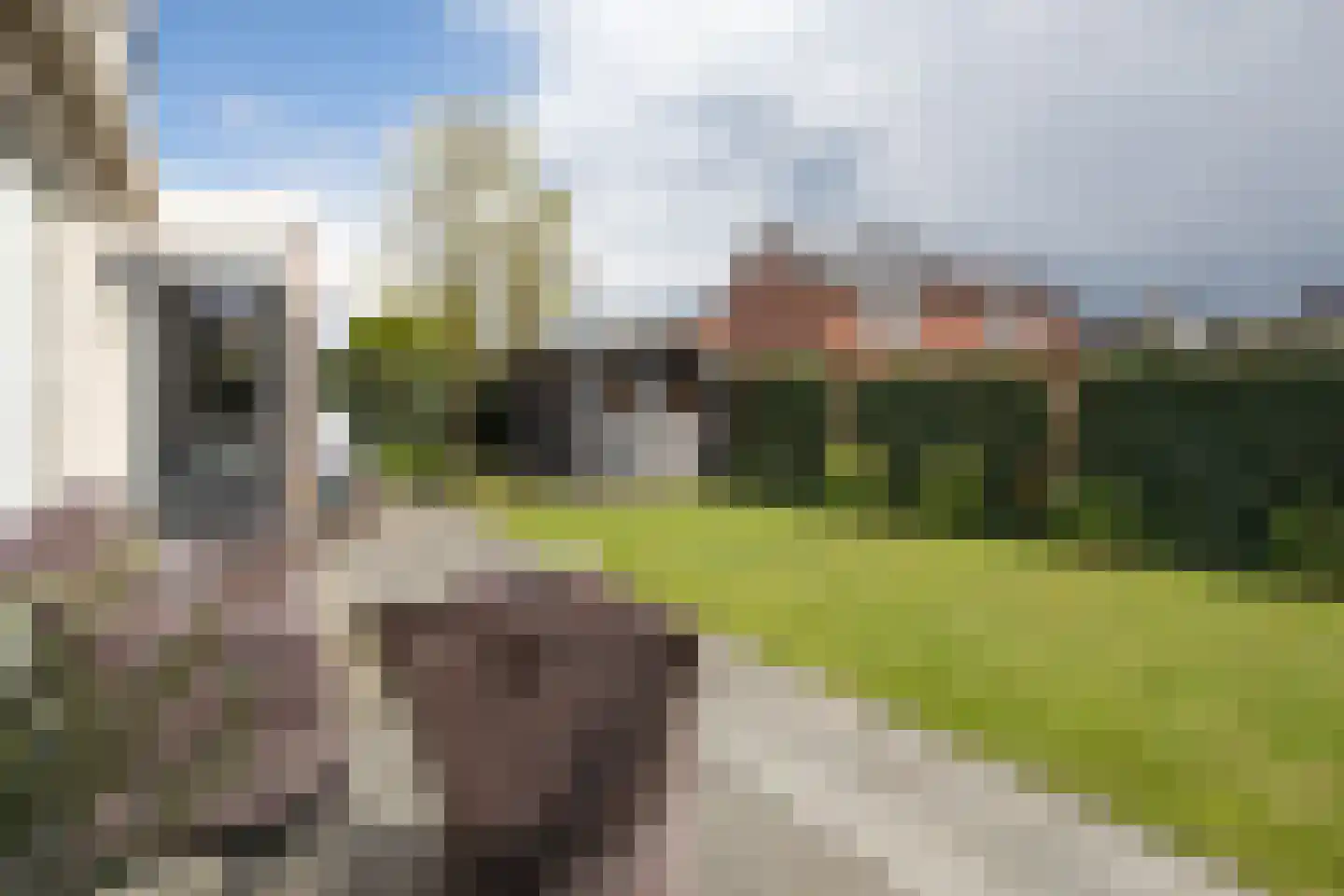 Weefkamer 24 Wierden thumbnail 59