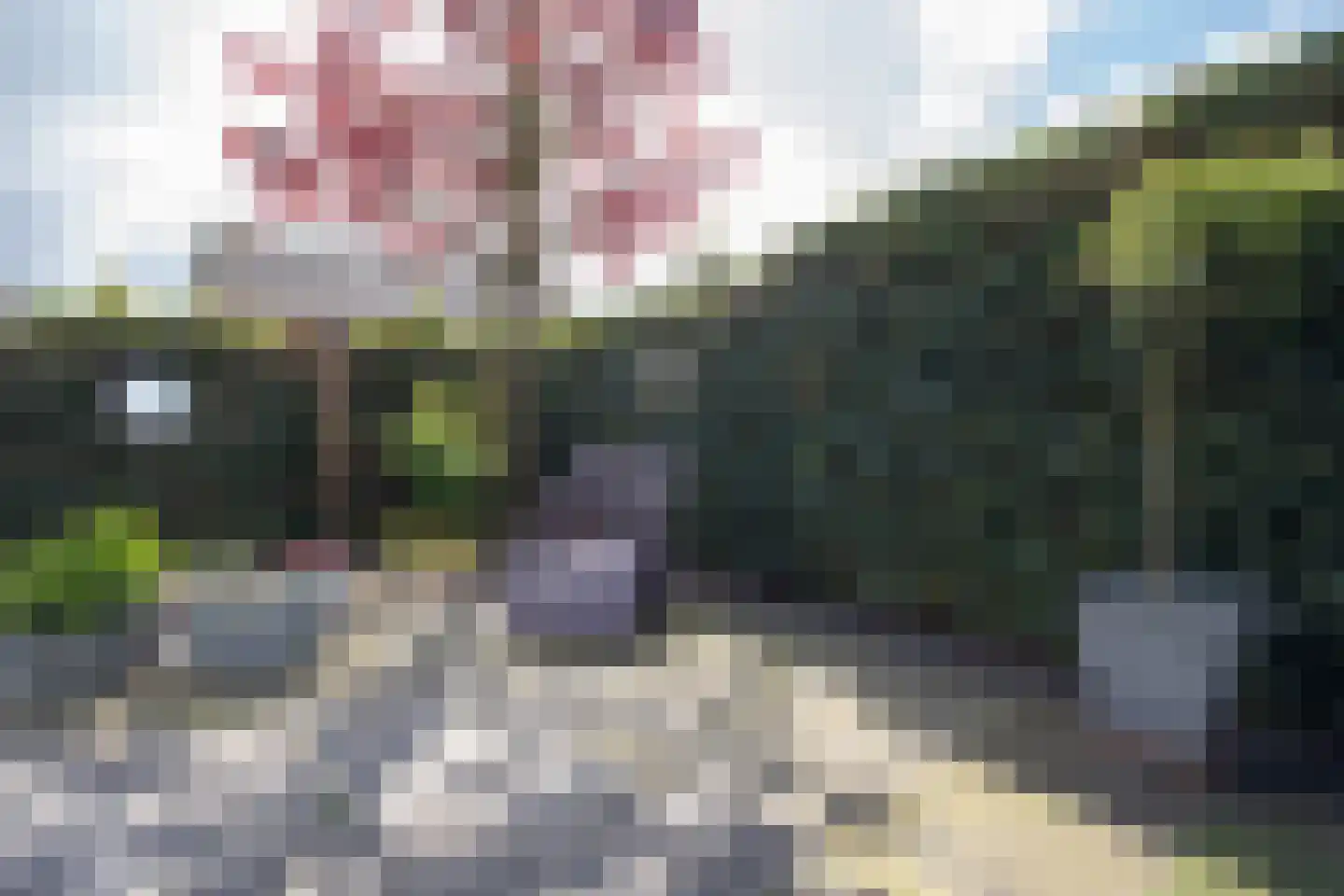 Weefkamer 24 Wierden thumbnail 63