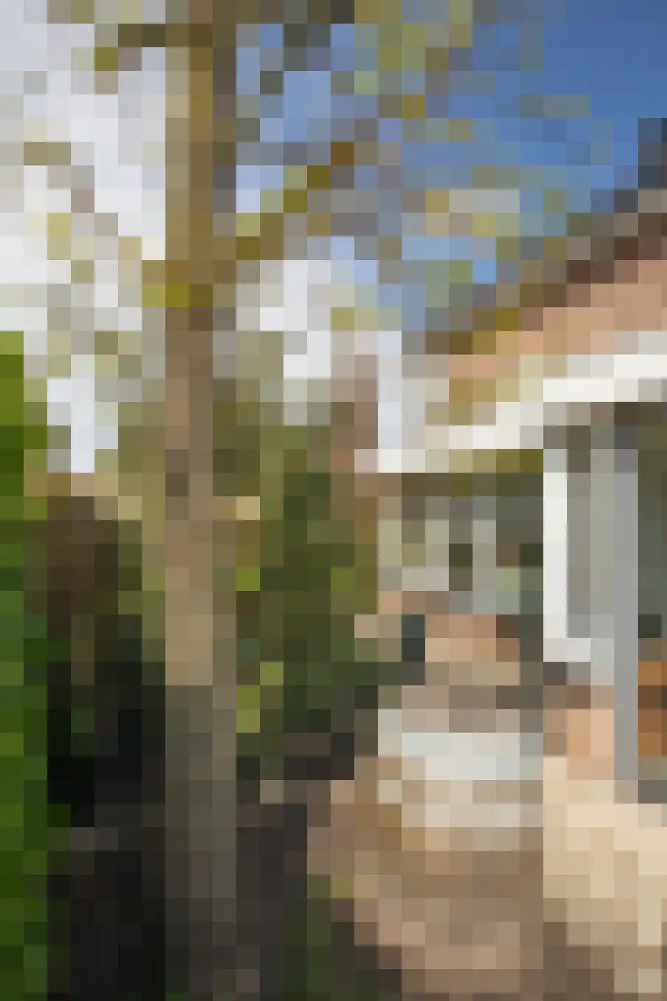 Weefkamer 24 Wierden thumbnail 64