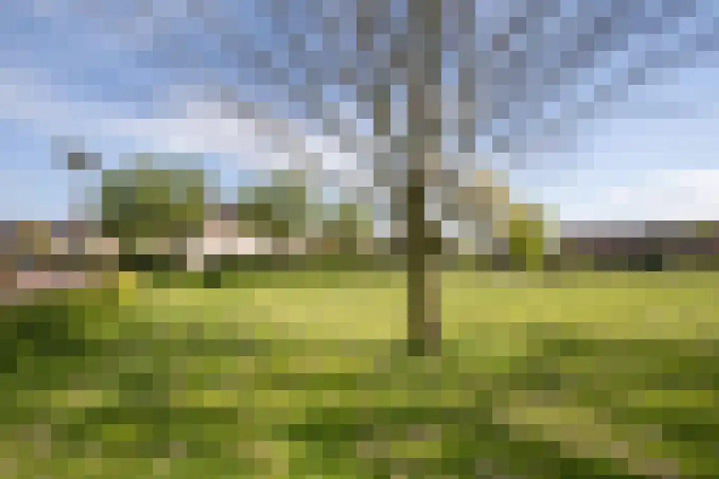 Weefkamer 24 Wierden thumbnail 70