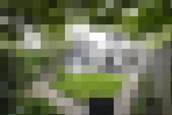 Weefkamer 95 Wierden thumbnail 34