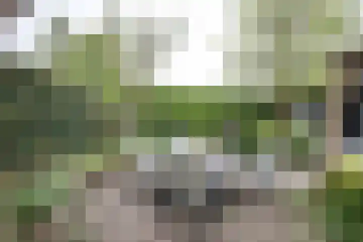 Weefkamer 95 Wierden thumbnail 35