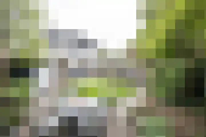 Weefkamer 95 Wierden thumbnail 36