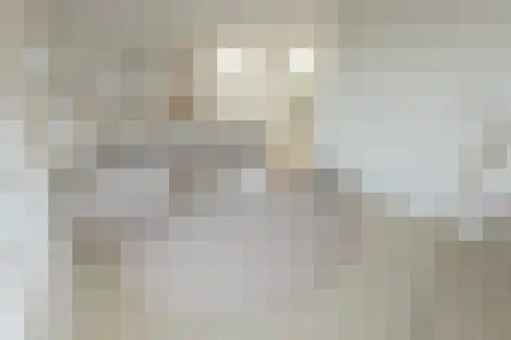 Weefkamer 95 Wierden thumbnail 42