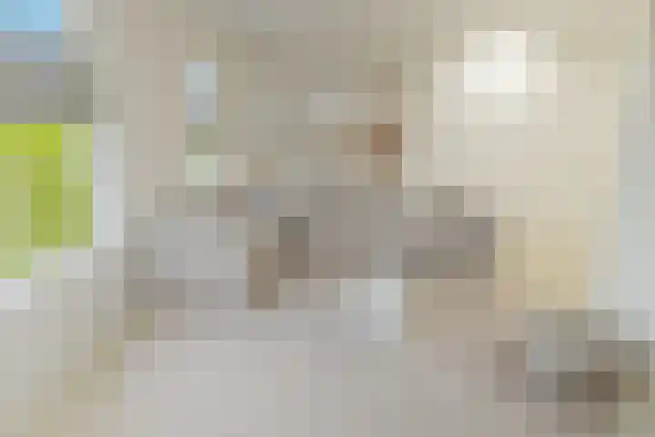 Weefkamer 95 Wierden thumbnail 44