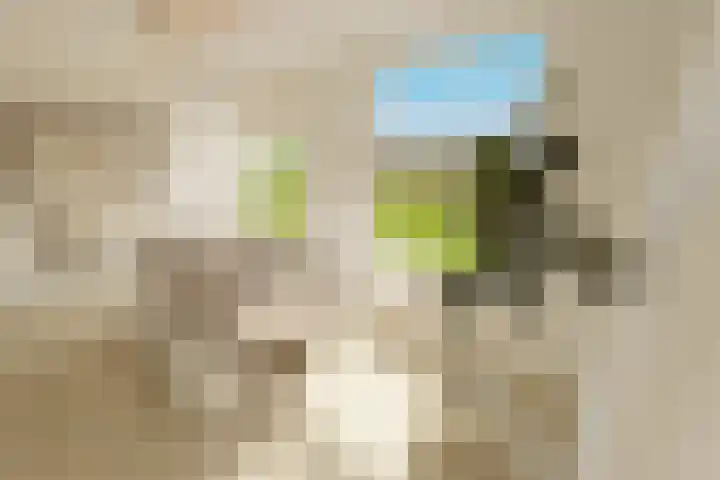 Weefkamer 95 Wierden thumbnail 45