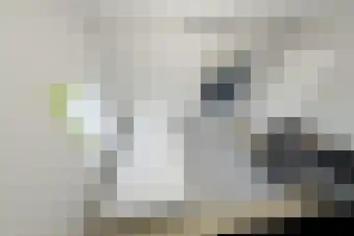 Weefkamer 95 Wierden thumbnail 47