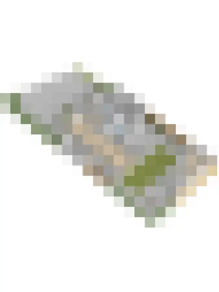 Weegbree 106 Best thumbnail 12