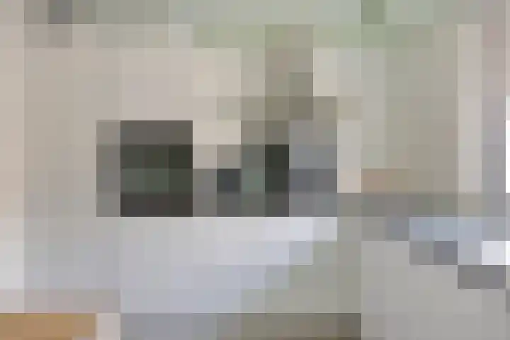 Weegbree 106 Best thumbnail 13