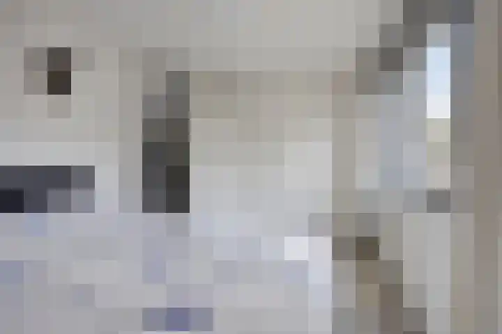 Weegbree 106 Best thumbnail 18