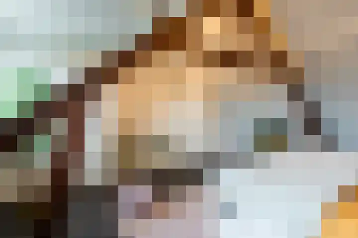 Weegbree 106 Best thumbnail 19