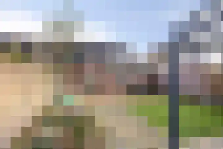Weegbree 106 Best thumbnail 29