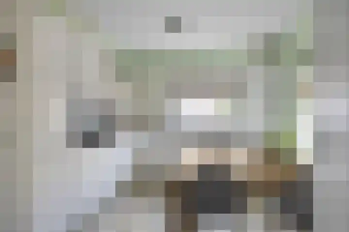 Weegbree 106 Best foto 3