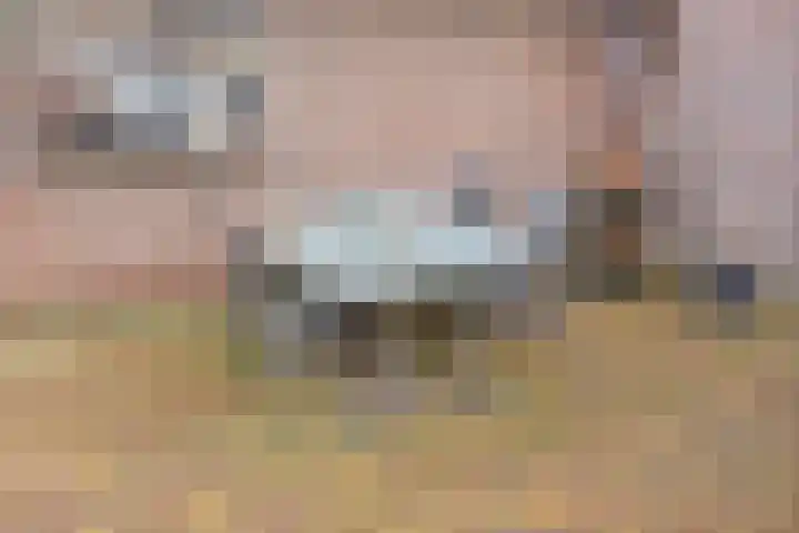 Weegbree 106 Best thumbnail 30