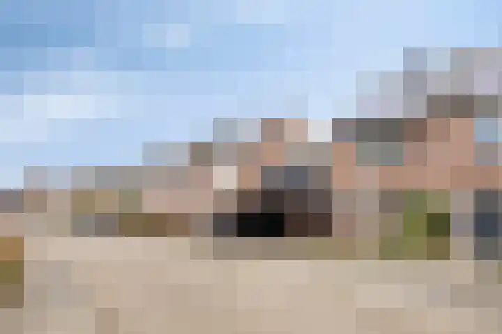 Weegbree 106 Best thumbnail 37