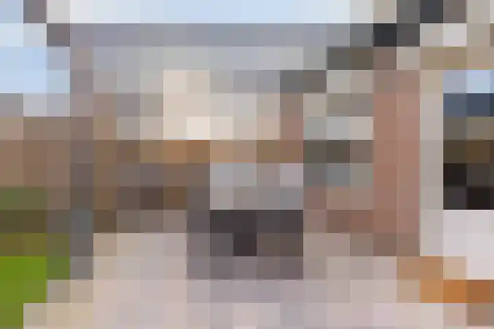 Weegbree 106 Best thumbnail 4