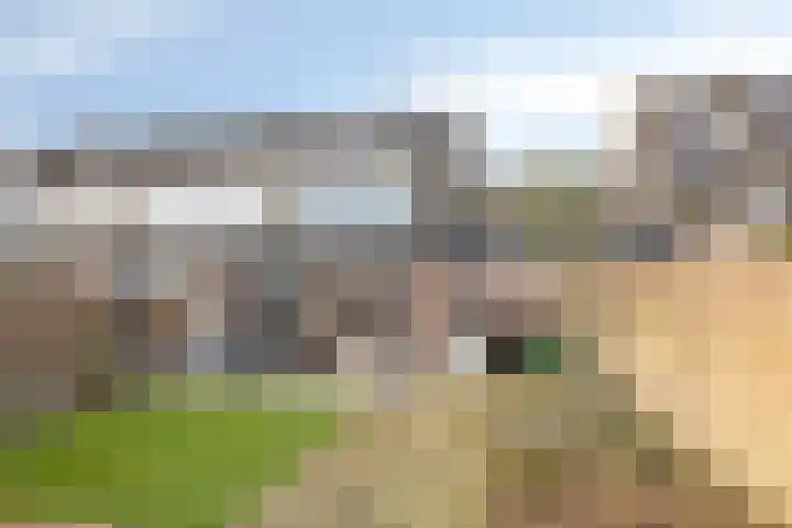 Weegbree 106 Best thumbnail 5