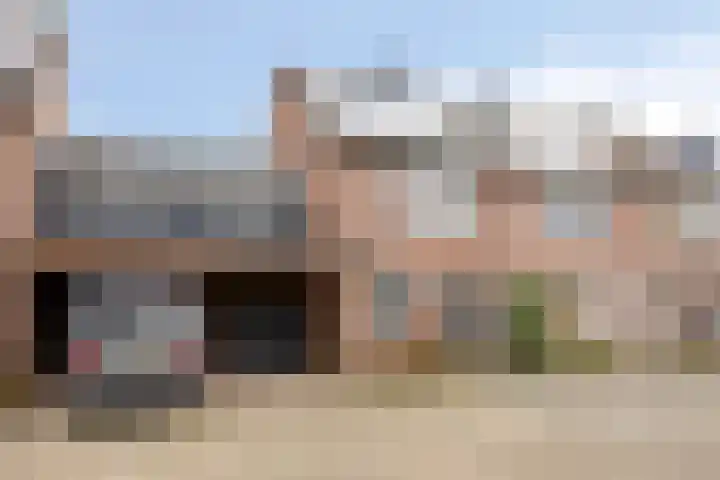 Weegbree 106 Best thumbnail 6