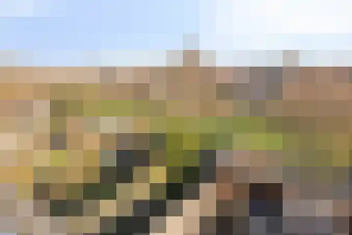 Weegbree 109 IJsselstein thumbnail 36
