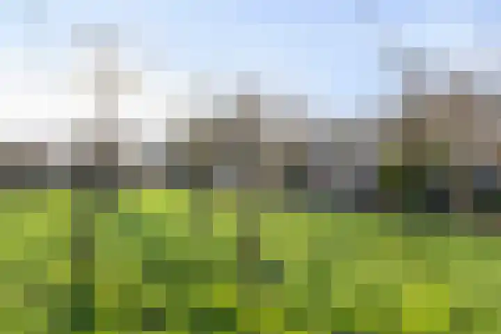 Weegbree 109 IJsselstein thumbnail 46