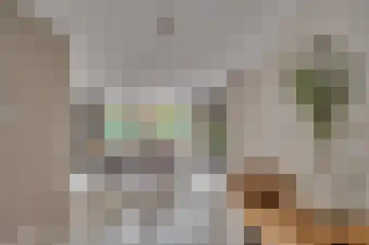 Weegbree 12 Venlo thumbnail 10