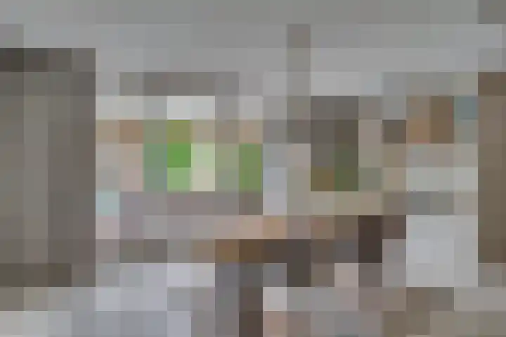 Weegbree 12 Venlo thumbnail 11
