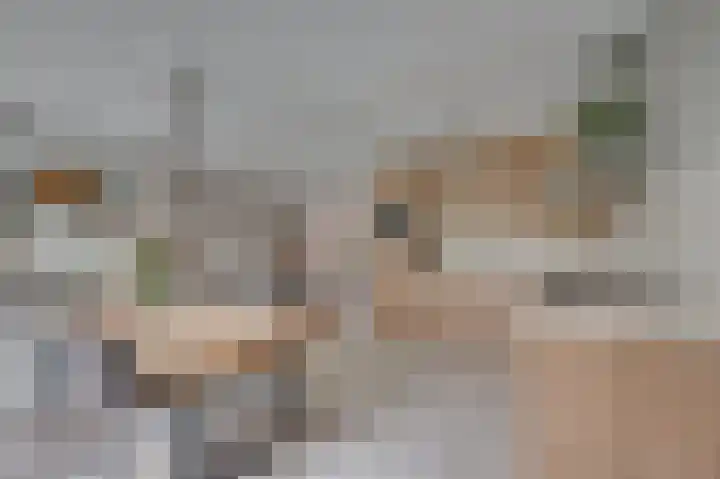 Weegbree 12 Venlo thumbnail 16