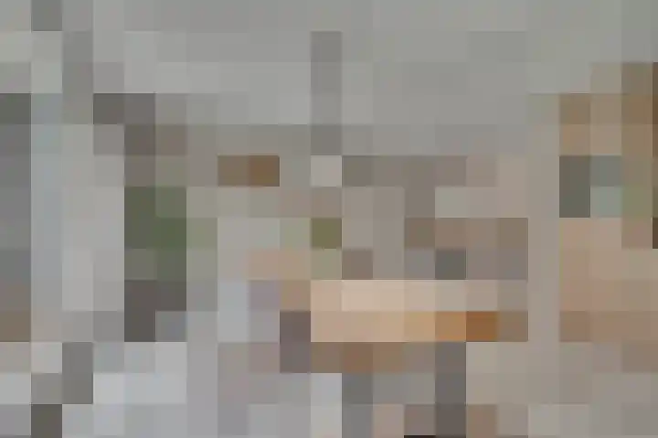 Weegbree 12 Venlo thumbnail 17