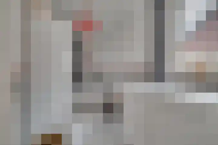 Weegbree 12 Venlo thumbnail 22