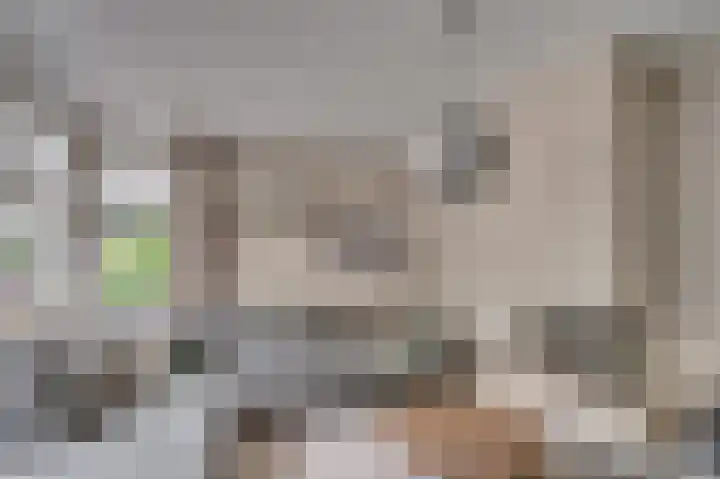 Weegbree 12 Venlo thumbnail 4
