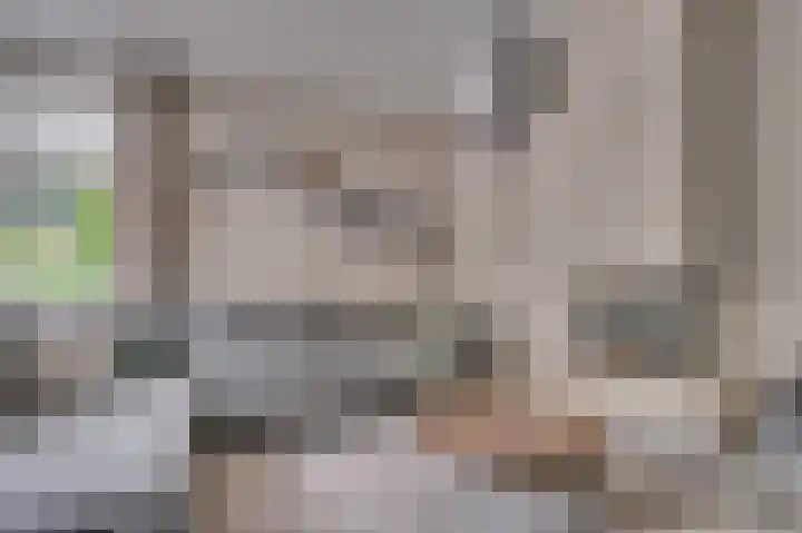 Weegbree 12 Venlo thumbnail 5