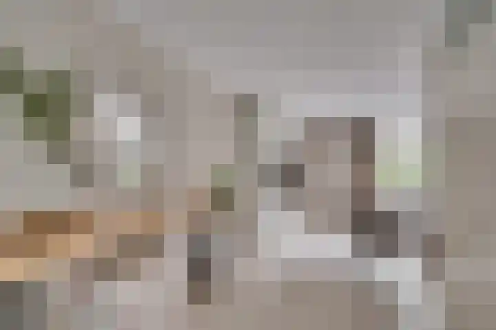 Weegbree 12 Venlo thumbnail 8