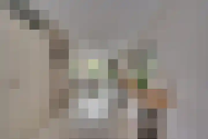 Weegbree 12 Venlo thumbnail 9