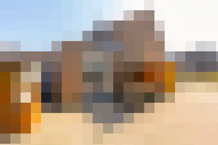 Weegbree 123 Pijnacker