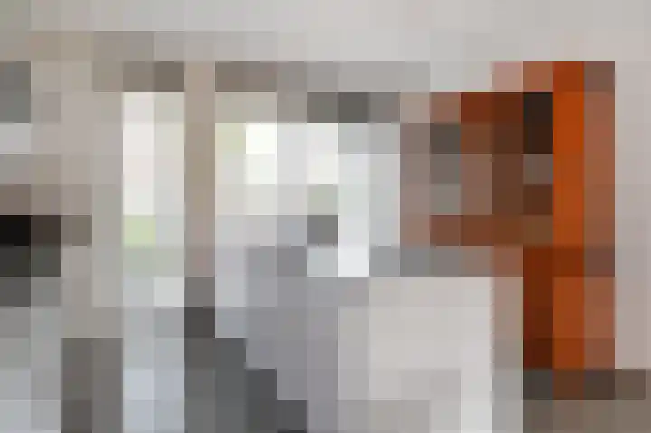 Weegbree 123 Pijnacker thumbnail 15