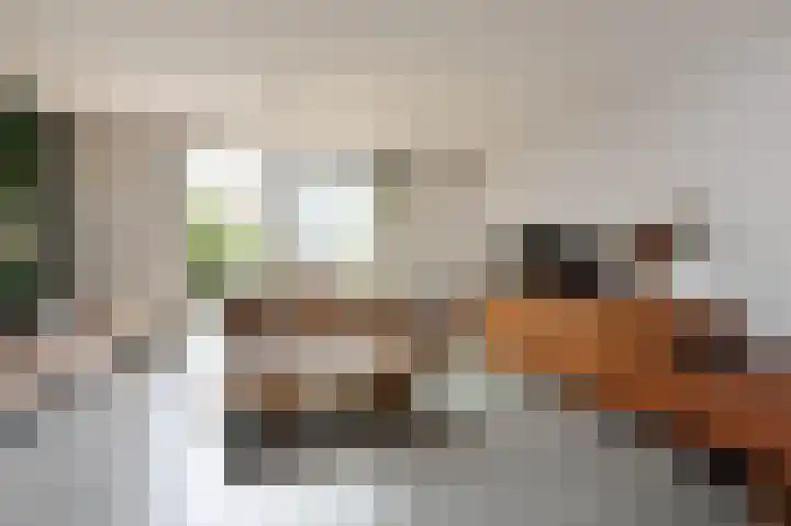 Weegbree 123 Pijnacker foto 2