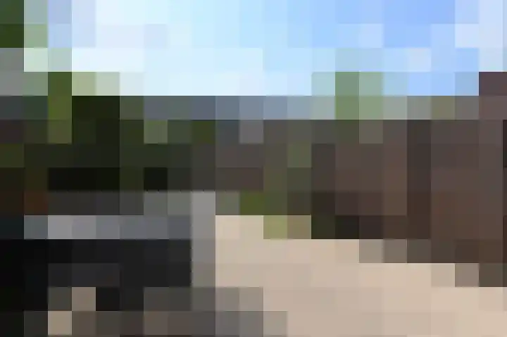 Weegbree 123 Pijnacker thumbnail 21