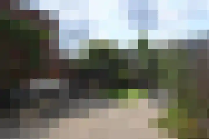Weegbree 123 Pijnacker thumbnail 22