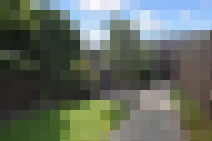 Weegbree 123 Pijnacker thumbnail 23