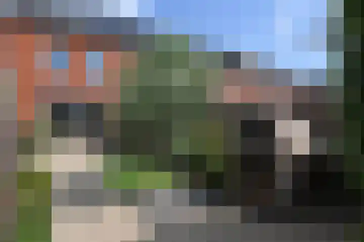 Weegbree 123 Pijnacker thumbnail 24