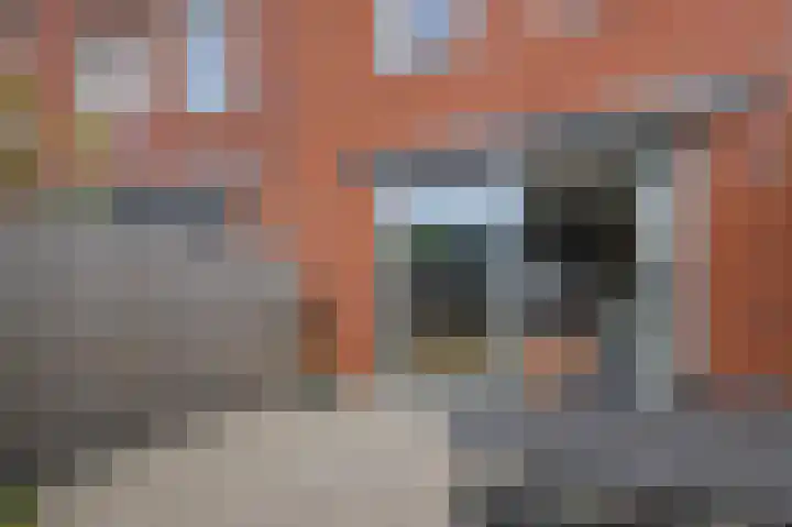 Weegbree 123 Pijnacker thumbnail 26