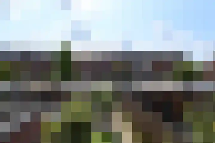 Weegbree 123 Pijnacker thumbnail 47